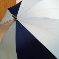 子供用傘　55cm　水色＆青色