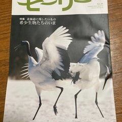 雑誌「モーリー」2013年3月発行　No. 30