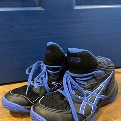 美品　asics アシックス　21.5cm ダンクショット　バッシュ