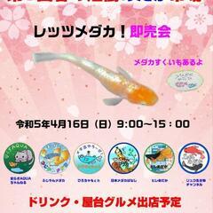 本日は多数のご来場　メダカ販売会　豪華ゲストに安らぎAQUAさん...