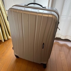 スーツケース　2週間　海外用　大型