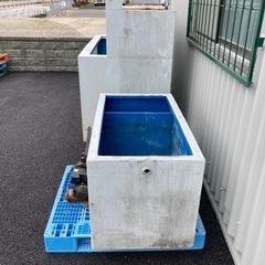 水槽　いけす　魚　釣り