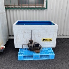 水槽　いけす　魚　釣り