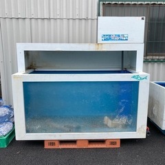 水槽　いけす　魚　釣り