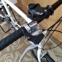 ミズタニ SERAPH F451 折り畳みスポーツ車 20インチ