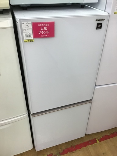 【トレファク神戸新長田】SHARPの2019年製2ドア冷蔵庫入荷しました！!!【取りに来れる方限定】