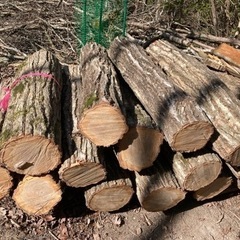 コナラ　カシ　広葉樹　の玉切り　薪作りに　　1トン以上注文で1キ...