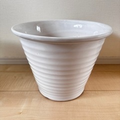 胡蝶蘭　植木鉢　陶器製　陶器　大型　盆栽