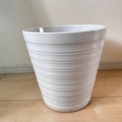 胡蝶蘭　植木鉢　陶器製　中型　8号 ①