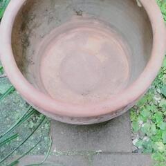 植木鉢（陶器）内径約330mm 外径約370mm