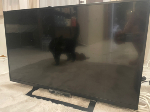 液晶 テレビ ブラビア\u0026ファイアースティックTV