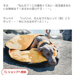 フィンランドのドッグブランド【Hurtta】【フルッタ】・スリーピング