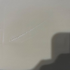 ペット用オアシス（ほぼ新品）