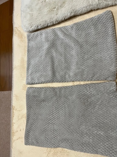 ペット用オアシス（ほぼ新品）