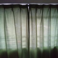 緑色のカーテンです。