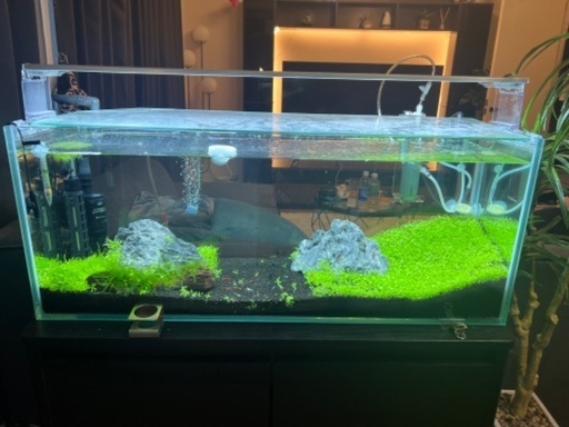 90*30×36アクリル水槽セット 水槽台付き | mayberrydental.ie
