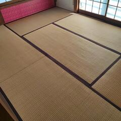 【横浜自宅引取限定】畳6枚 中古 きれい まだまだ使える