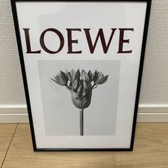 LOEWE ロエベ アルミフレーム付き