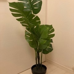 FEJKA フェイカ 人工観葉植物, 室内/屋外用 モンステラ