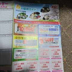 【早い者勝ち】【人気商品】【お買い得】春の優待ガイド　2023年...