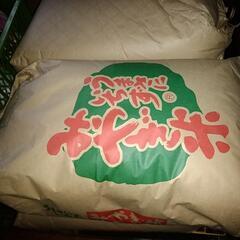 ササニシキ玄米登米市産30キロ