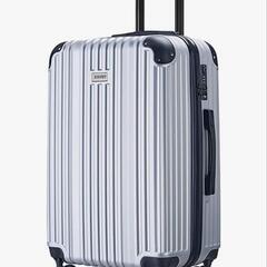 【ネット決済】新品！！REGESY スーツケース　65L