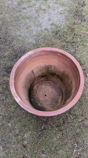 大きな素焼の鉢 販売 