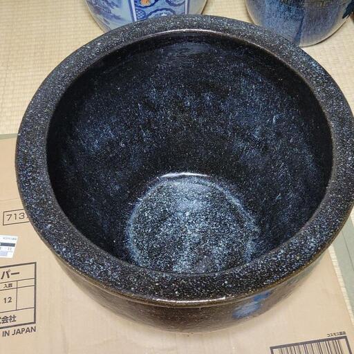 壺屋焼陶芸城 金城敏幸 魚紋 新入荷 東京うつわのわ田 | 沖縄