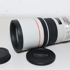 【ネット決済・配送可】Canon/EF300mm F4L IS ...