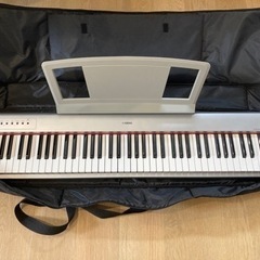 YAMAHA Piaggero NP-31S