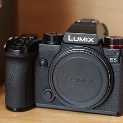 ★Panasonic Lumix S5 DC-S5 ボディ きれい★