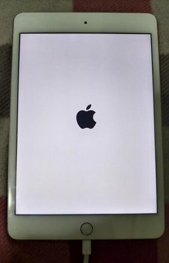 ipad mini4 WiｰFiモデル16G 本体のみ