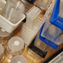 昆虫飼育引退品全て(新品のもの有)23日まで