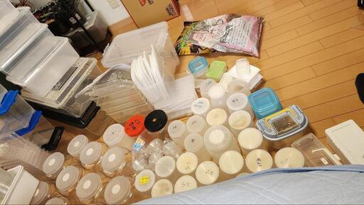 【引取り限定】昆虫飼育セット一式 昆虫 飼育セット」の人気商品一覧 | 安い商品を通販サイトから探す