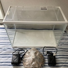 残り1つになりました】ジャンボコンテナ 水槽 【良識の範囲内での