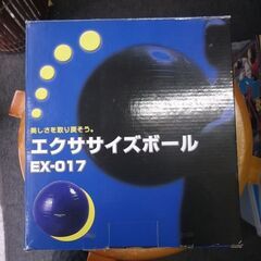 アルインコ(ALINCO) エクササイズボール EX-017 65cm
