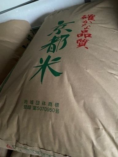 4年産　キヌヒカリ　玄米　30kg
