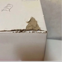 【最終お値段】Panasonic イオンフェイススチーマー