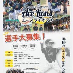 お茶当番なし❗『エースライオンズ』⚾少年野球チームメイト募集中⚾ - メンバー募集