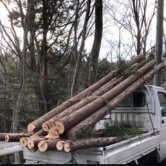 🌲杉丸太　生木 ログハウス作りに最適！