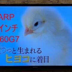 【ネット決済】60インチ　液晶テレビ　シャープ　LC-60G7　...