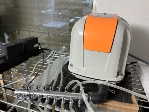 安永　AP60 浄化槽　ブロワ　水槽