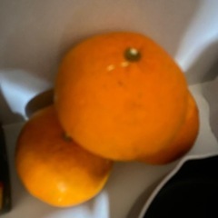 オレンジ はっさく 2個
