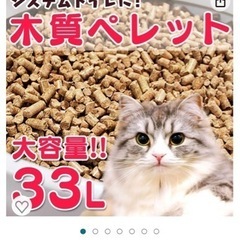 猫砂　トイレ砂