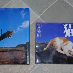 本「ネコに金星」「ニッポンの猫」2冊まとめて