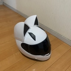 猫型ヘルメット！