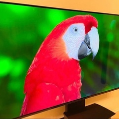 【ネット決済】テレビSONY XRJ-65A80J BLACK有...