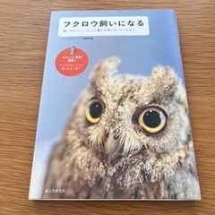 フクロウ飼いになる : 飼い方から、いっしょに暮らす楽しみ、グッズまで