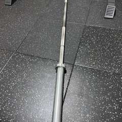 ROGUE ECHO BAR 2.0 20kg