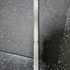 ROGUE ECHO BAR 2.0 20kg